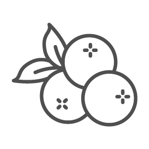 arbutin icon