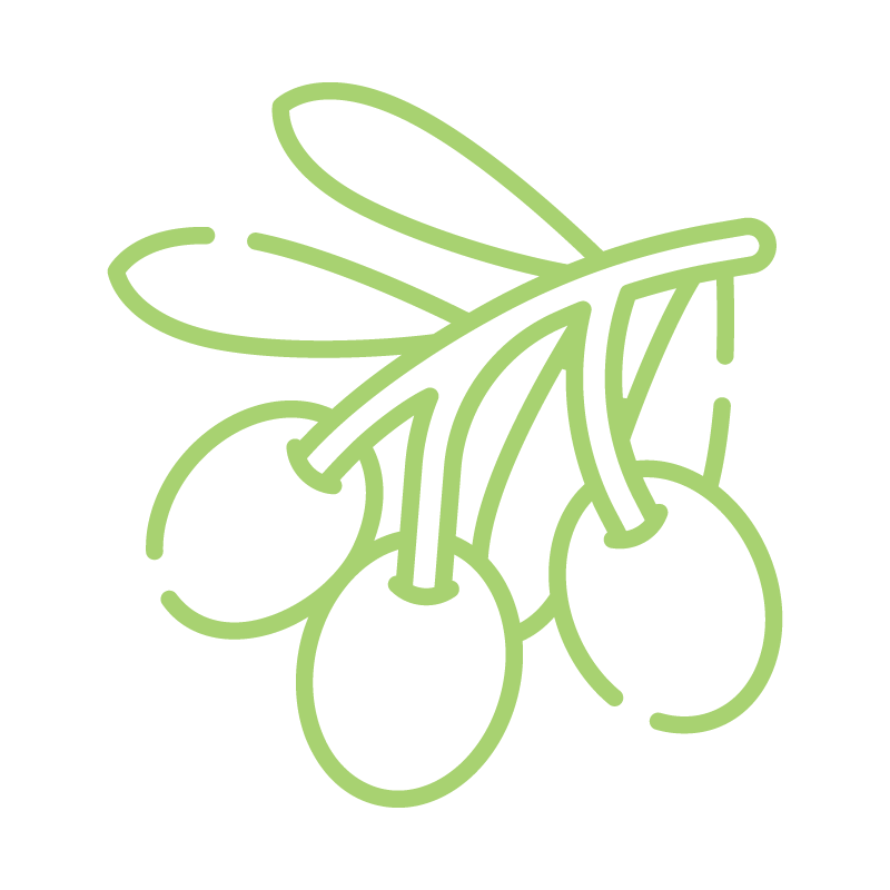 Ingredient Icons_Palented OleaVita--
