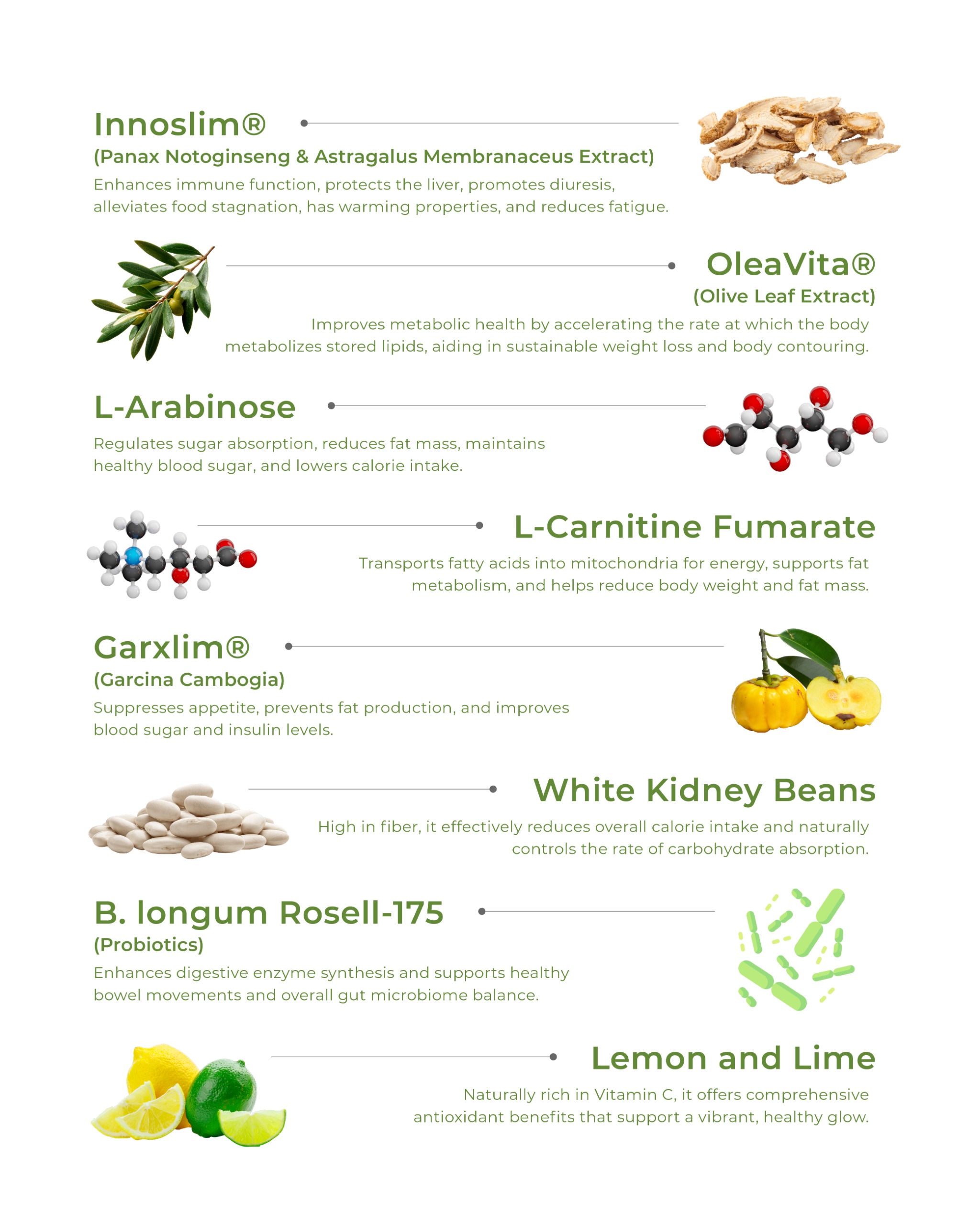 key ingredients
