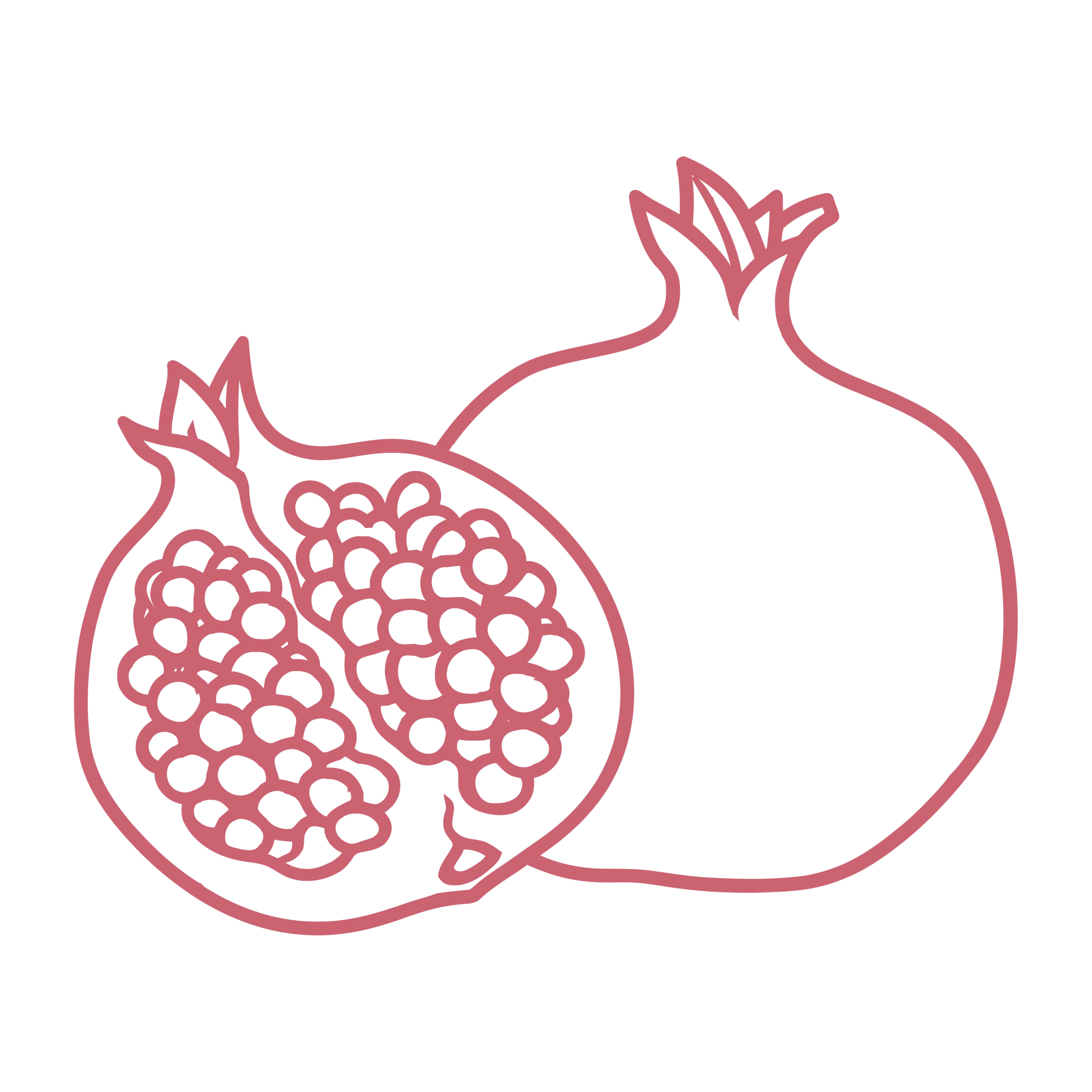 Ingredient-Icons_VIQUA®-Pomegranate-Extract-10-scaled