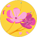 Belinda Lam profile picture